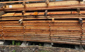 Lärche 290x180