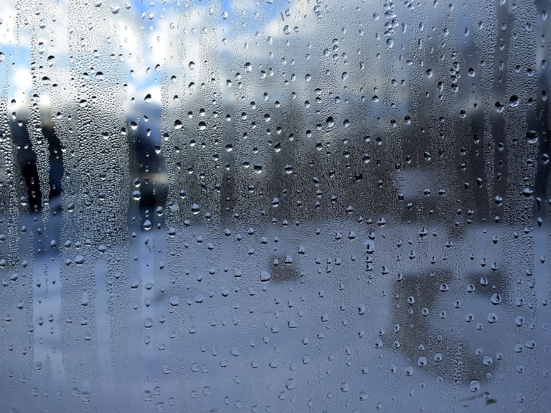 Die Feuchtigkeit in der Wohnung kondensiert an kalten Oberflächen, wie hier an der Fensterscheibee